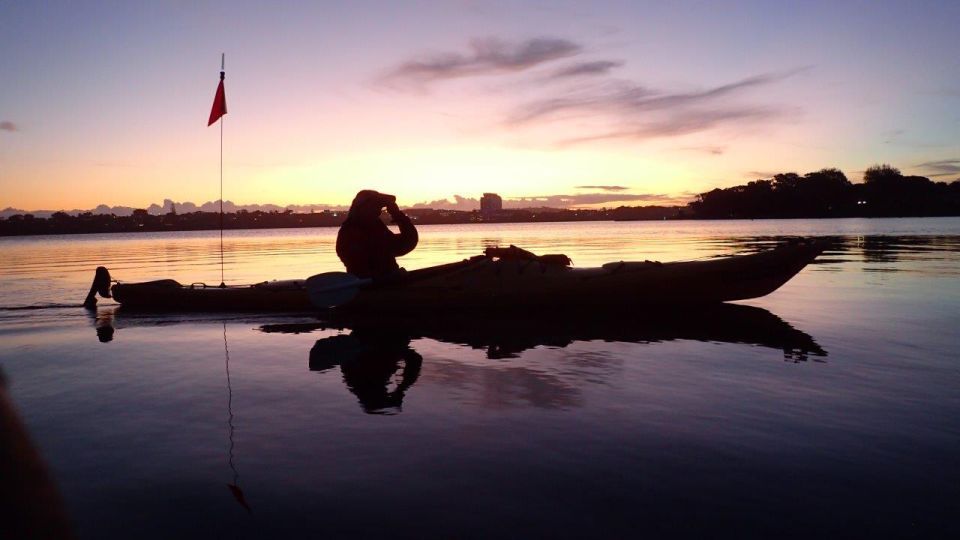 Auckland: Bioluminescence Kayak Tour by Night With Tuition - Meeting Point Details