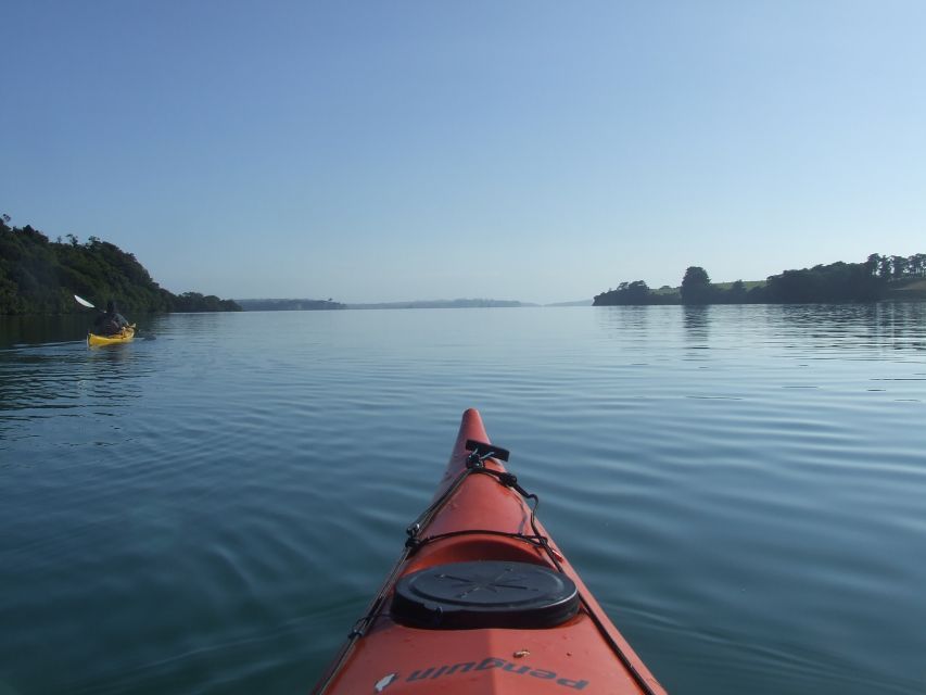 Auckland: Bioluminescence Kayak Tour by Night With Tuition - Customer Reviews