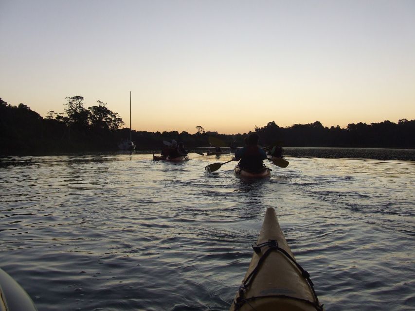 Auckland: Bioluminescence Kayak Tour by Night With Tuition - Frequently Asked Questions