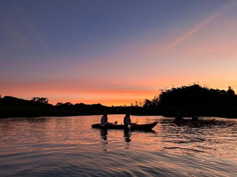 Auckland: Bioluminescence Kayak Tour with Guide - An In-Depth Look at This Auckland Adventure