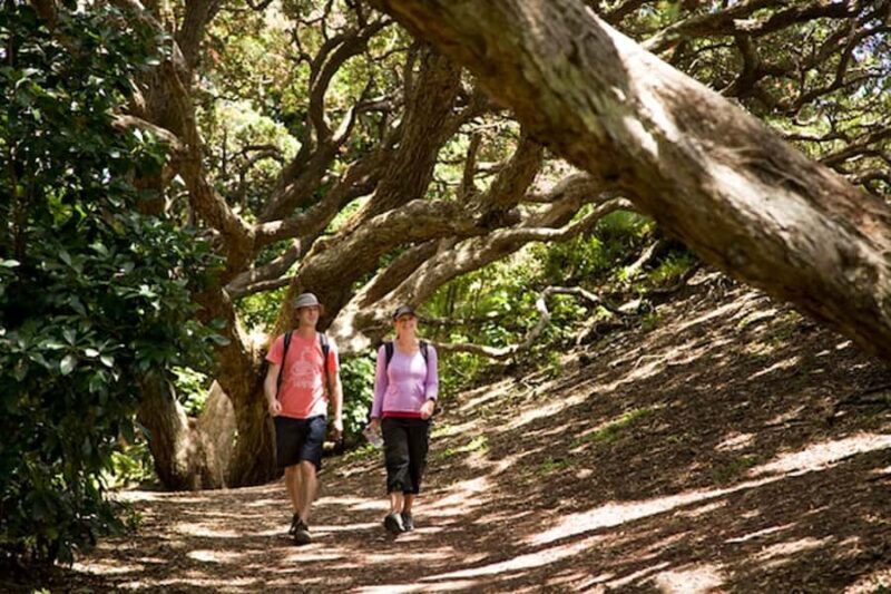 Auckland City and West Coast Luxury Tour - Key Points