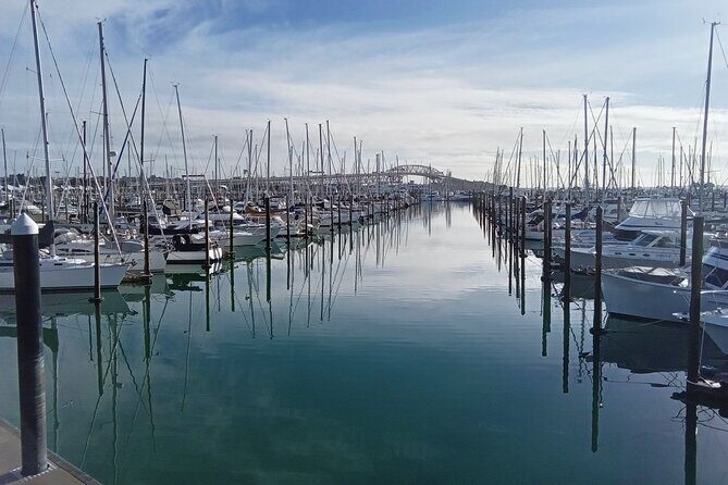 Auckland City Halfday Guide Tour - An In-Depth Look at the Auckland City Halfday Guide Tour