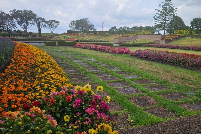 Auckland City Halfday Guide Tour - The Sum Up