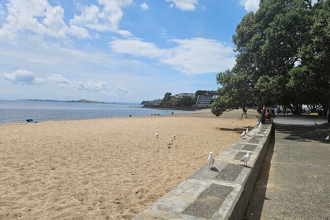 Auckland City Halfday Guide Tour - FAQ