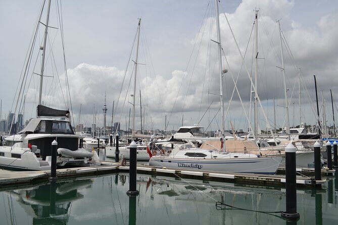 Auckland City Halfday Main Tour - Who Will Love This Tour?