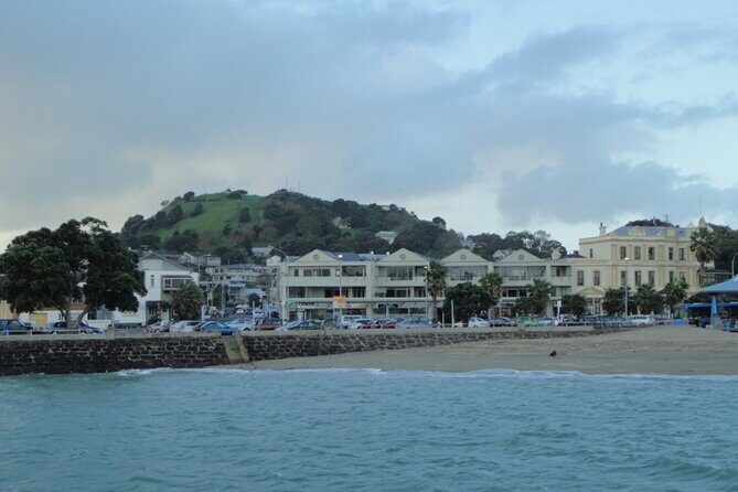 Auckland City Halfday Tour - What the Reviews Say