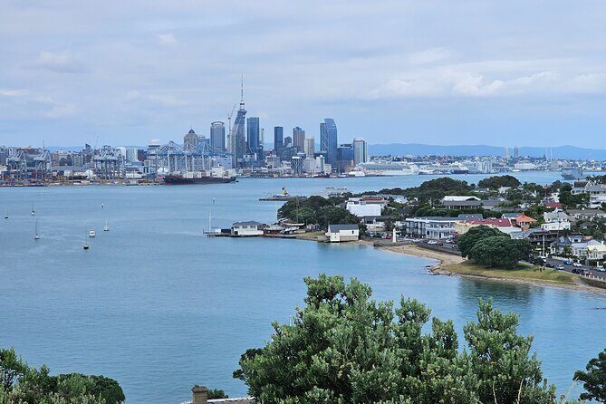 Auckland City Halfday Tour - Who Should Consider This Tour?