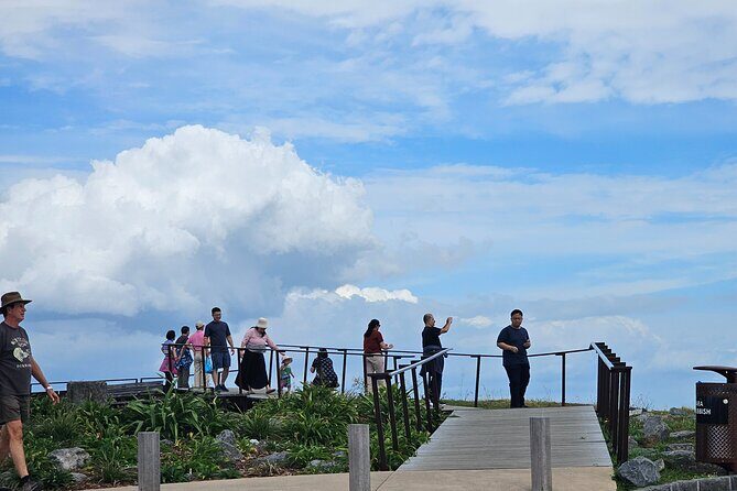 Auckland City Highlight Halfday Tour - Who Will Love This Tour?
