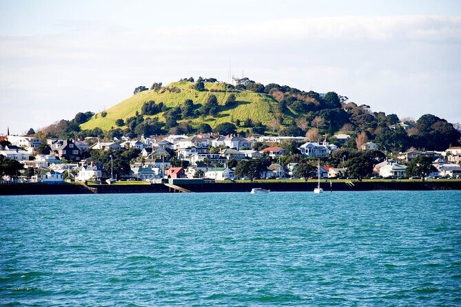 Auckland City Highlights and Hidden Gems Half Day Tour - Who Will Love This Tour?