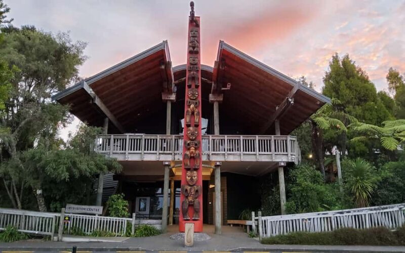 Auckland: City Highlights and Native Forest Experience - What To Expect and Practical Tips