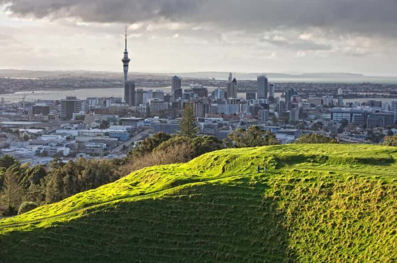 Auckland: City Highlights and Native Forest Experience - Who Will Enjoy This Tour?