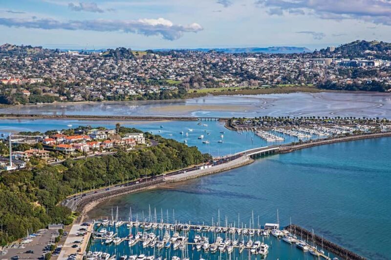 Auckland: City Highlights and Native Forest Experience - The Sum Up