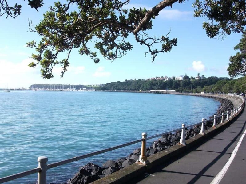 Auckland: City Highlights and Native Forest Experience - FAQ