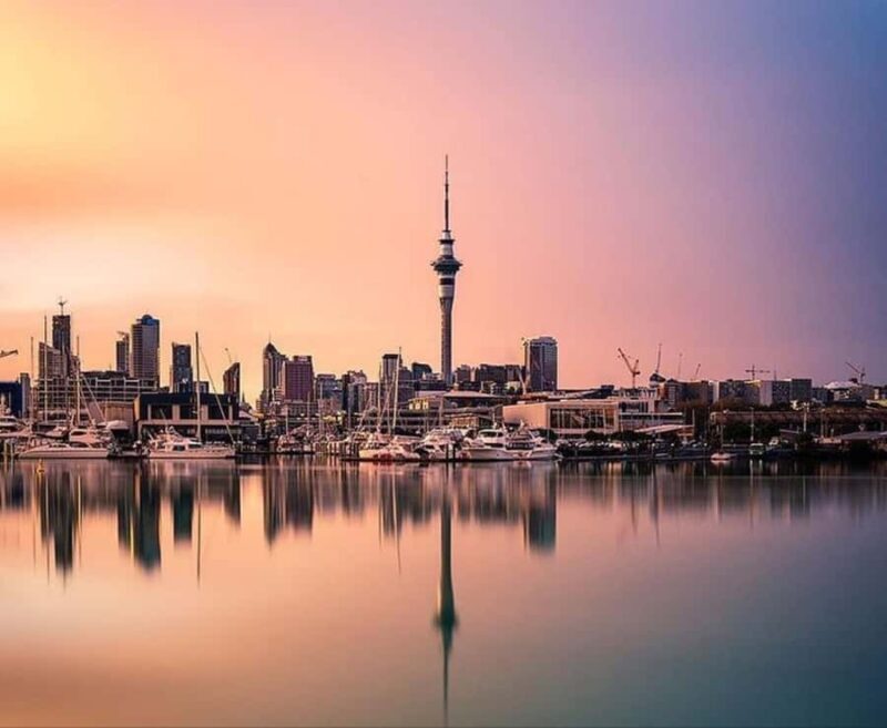 Auckland City Highlights Full Day Tour - The Value of a Guided Experience