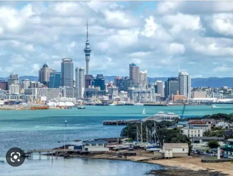 Auckland City Highlights Half Day Tour - Key Points