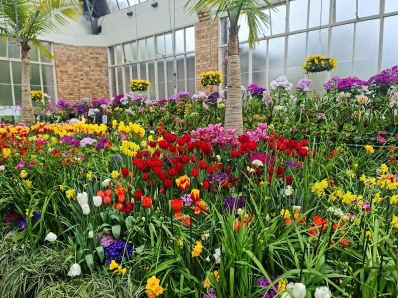 Auckland City Highlights Half Day Tour - Who Should Consider This Tour?