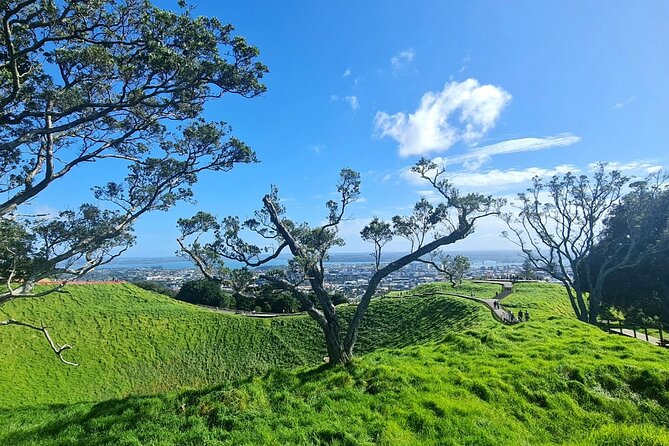 Auckland City Highlights Half Day Tour - Health and Accessibility Information