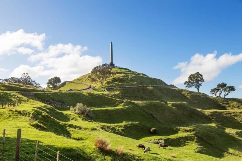 Auckland: City Highlights Private Tour - The Value of This Experience