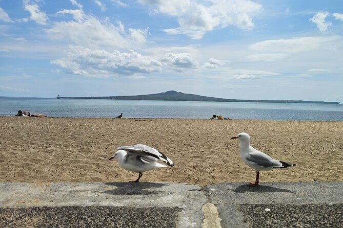 Auckland City Highlights Tour - FAQ