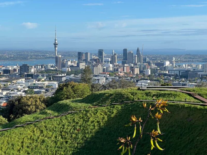 Auckland CITY HIGHLIGHTS Tour with Hotel Pickup - Key Points