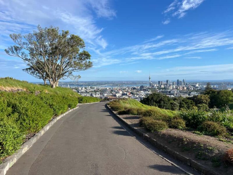 Auckland CITY HIGHLIGHTS Tour with Hotel Pickup - Who is This Tour Best For?