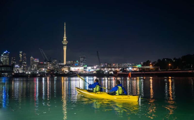Auckland: City Lights Night Kayak Tour - Key Points