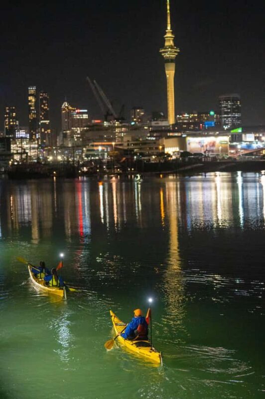 Auckland: City Lights Night Kayak Tour - The Practicalities: What You Need to Know
