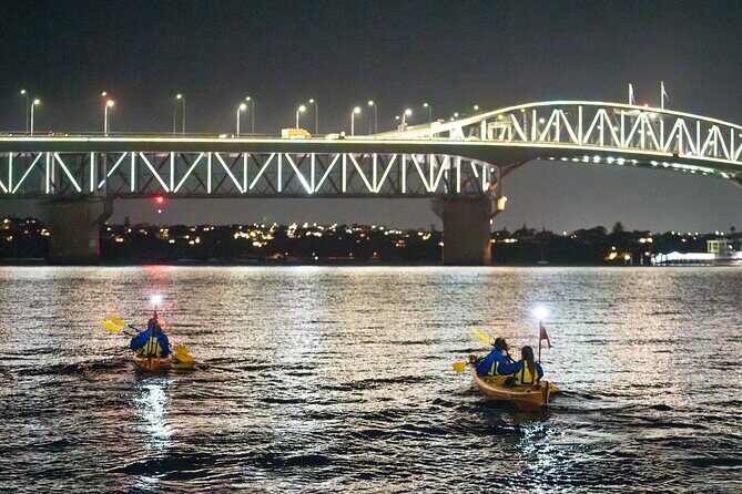 Auckland City Lights Night Kayaking Tour - What to Expect During the Tour