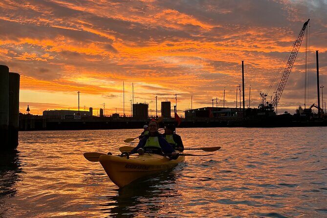 Auckland City Lights Night Kayaking Tour - Who Will Love This Tour