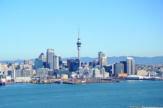 Auckland City & Native Forest Experience - Fully Guided Day Tour - Whats Included