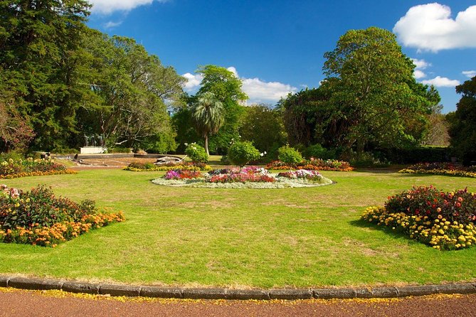 Auckland City & Native Forest Experience - Fully Guided Day Tour - Additional Tour Information