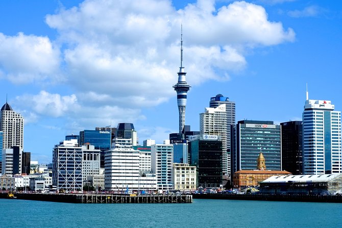 Auckland City & Native Forest Experience - Fully Guided Day Tour - Accessibility Considerations