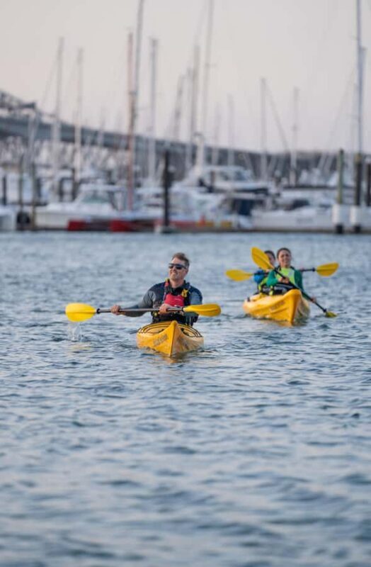 Auckland: City Scenes Kayak Tour - A Quick Intro to this Water-bound Adventure