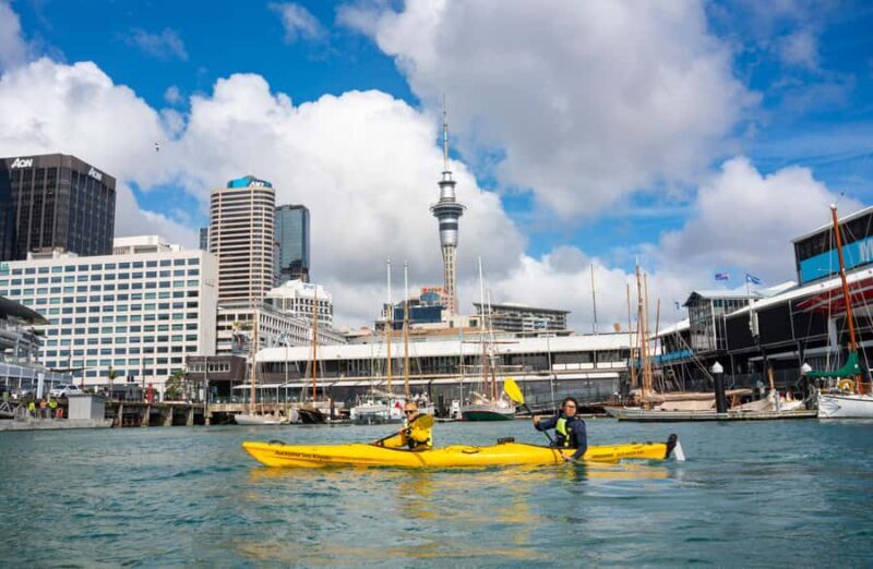 Auckland: City Scenes Kayak Tour - What to Expect