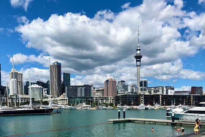 Auckland City Top Sights Half Day Tour - Small Group - The Itinerary in Detail