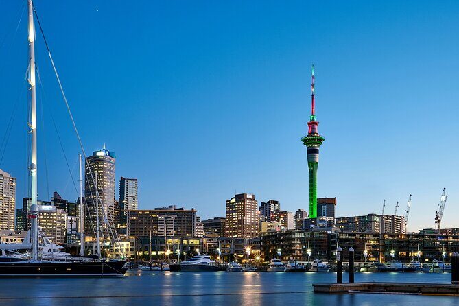 Auckland City Top Sights Half Day Tour - Small Group - Practical Considerations and Value