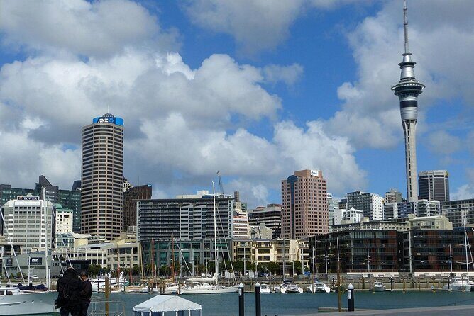 Auckland City Top Sights Half Day Tour - Small Group - Final Thoughts