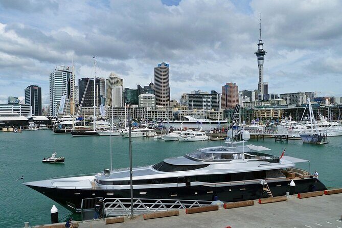 Auckland City Top Sights Half Day Tour - Small Group - FAQ