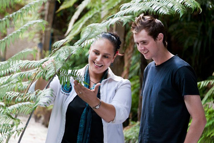 Auckland City & West Coast Luxury Tour - Customer Reviews