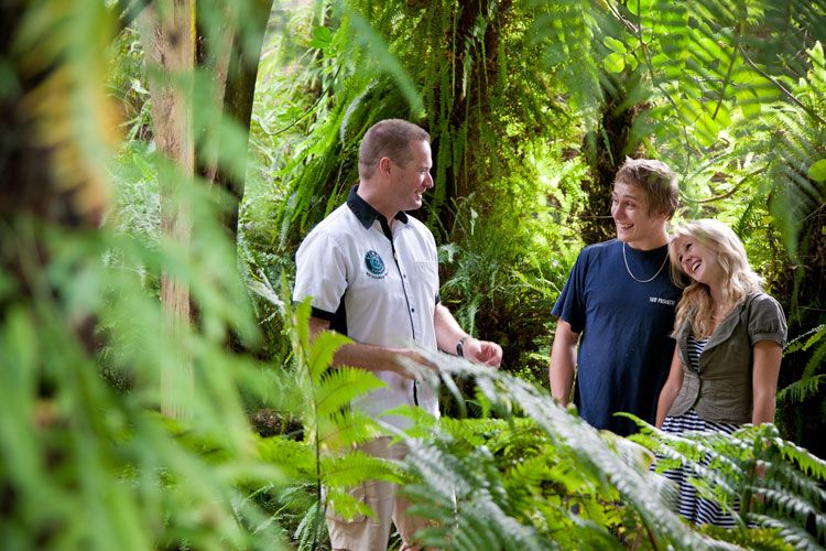 Auckland City & West Coast Luxury Tour - What to Bring
