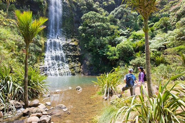 Auckland City & West Coast Luxury Tour - Frequently Asked Questions