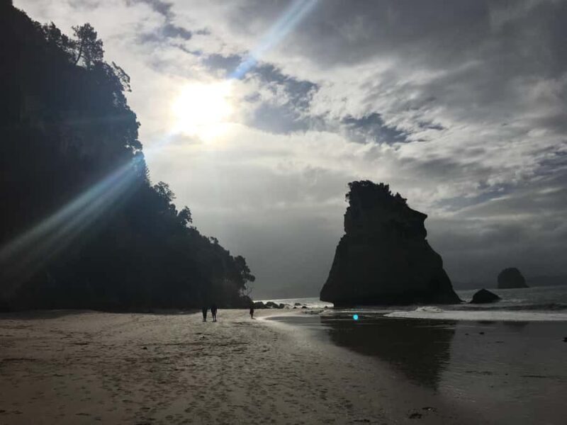Auckland: Coromandel Day Tour including Hot Water Beach - Key Points