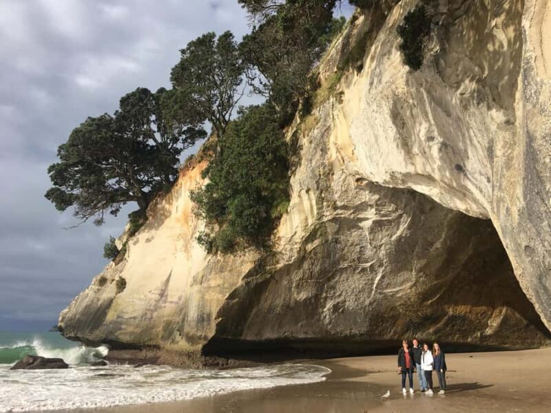 Auckland: Coromandel Day Tour including Hot Water Beach - What’s the Value?