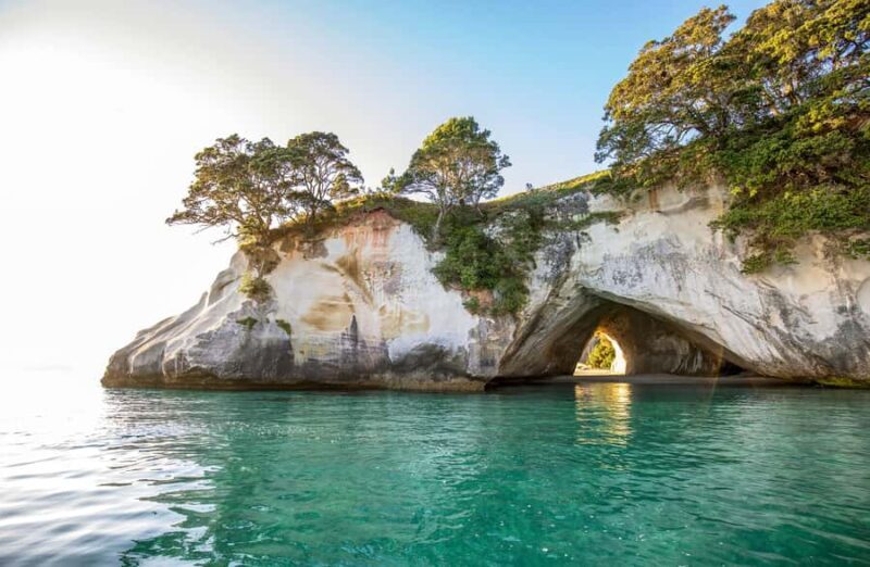 Auckland: Coromandel Driving Creek & Cathedral Cove Day Tour - Key Points