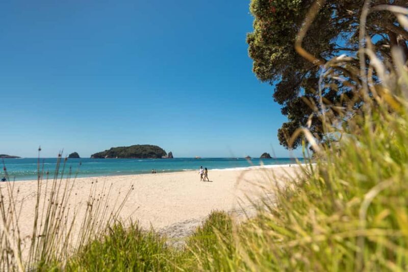 Auckland: Coromandel Driving Creek & Cathedral Cove Day Tour - The Sum Up