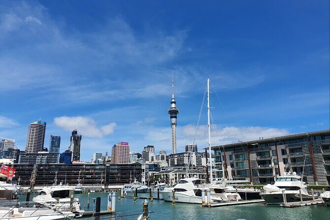 Auckland Full Day Attractions & Museums Tour - FAQ