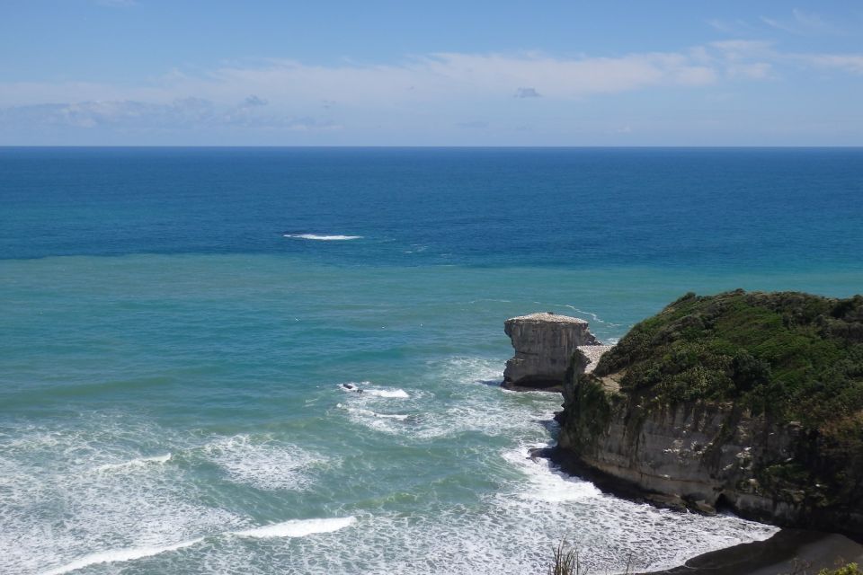 Auckland: Full-Day City Highlights Tour - Key Points