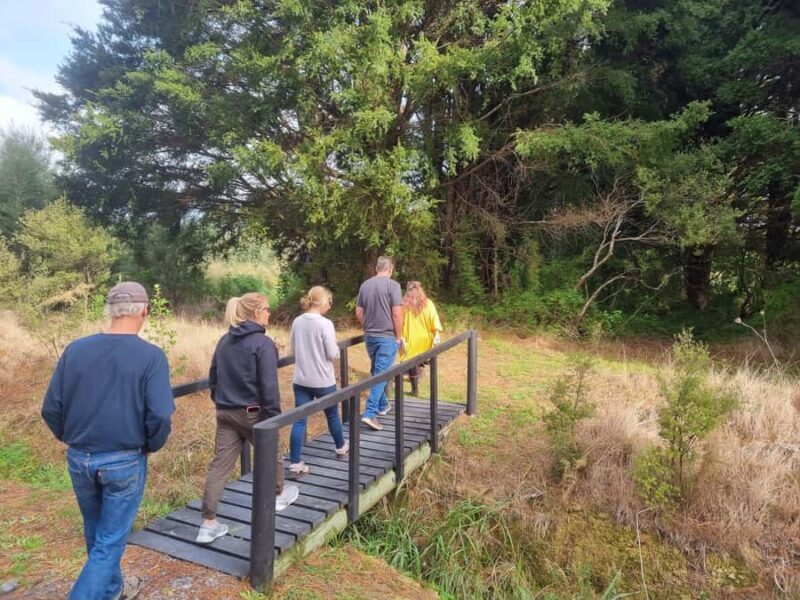 Auckland: Full-Day Jade Carving, Honey Tasting & Wine Tour - Key Points