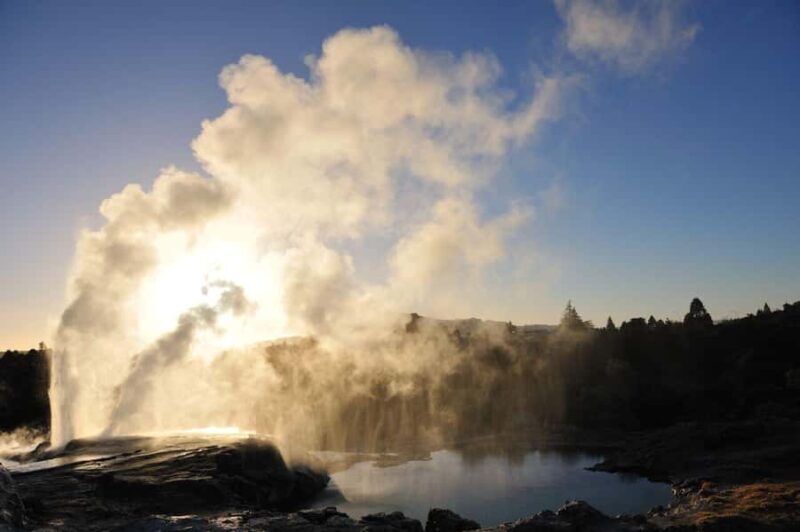 Auckland: Full-Day Trip to Rotorua Geothermal Valley - What we think about the value