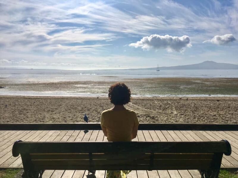 Auckland: Half-Day Auckland Volcanoes Tour - Why This Tour Offers Great Value